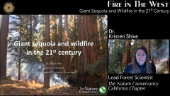Fire in the West – Giant Sequoia and Wildfire in the 21st Century