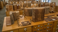 The Forest Products Laboratory