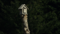 Mary Dunsmore- birdhouse builder